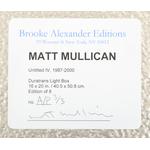 Matt Mullican Lightbox Transparency